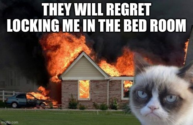 Burn Kitty Meme | THEY WILL REGRET LOCKING ME IN THE BED ROOM | image tagged in memes,burn kitty,grumpy cat | made w/ Imgflip meme maker