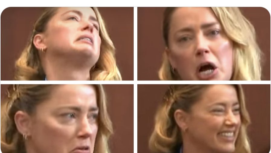 Amber Heard Blank Meme Template