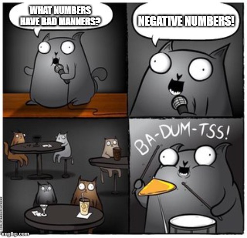 Ba-dum-tss cat | NEGATIVE NUMBERS! WHAT NUMBERS HAVE BAD MANNERS? | image tagged in ba-dum-tss cat | made w/ Imgflip meme maker