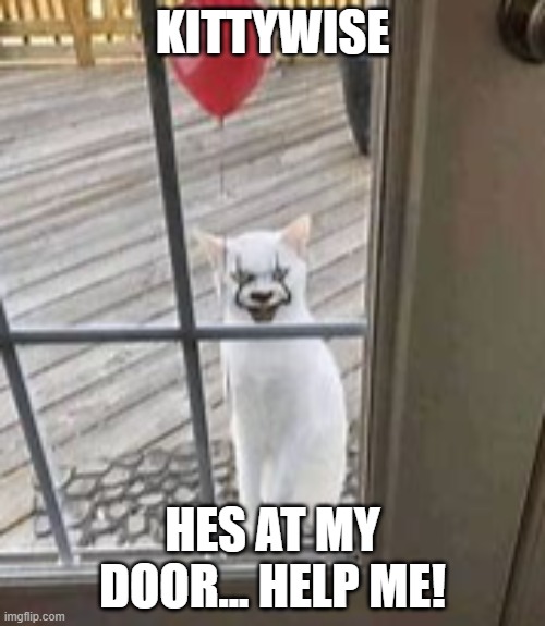 KittyWise | KITTYWISE; HES AT MY DOOR... HELP ME! | image tagged in pennywise,cat,funny cats | made w/ Imgflip meme maker