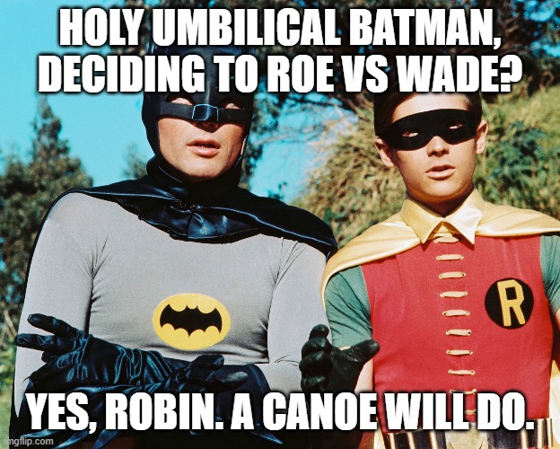A Canoe Will Do... | HOLY UMBILICAL BATMAN, DECIDING TO ROE VS WADE? YES, ROBIN. A CANOE WILL DO. | image tagged in canoe,row,wade | made w/ Imgflip meme maker