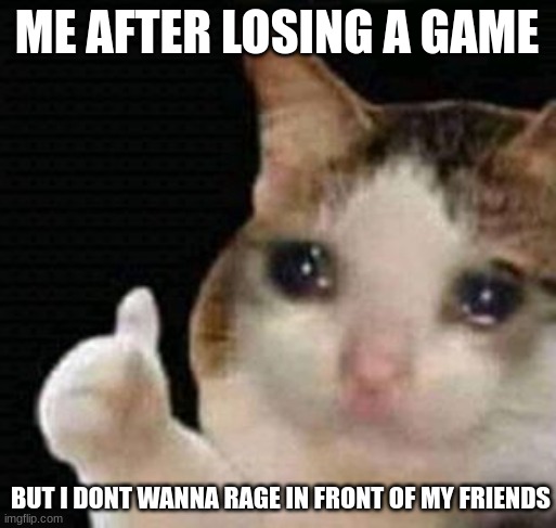 sad thumbs up cat | ME AFTER LOSING A GAME; BUT I DONT WANNA RAGE IN FRONT OF MY FRIENDS | image tagged in sad thumbs up cat | made w/ Imgflip meme maker