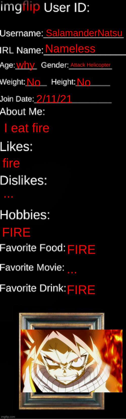 imgflip ID Card | SalamanderNatsu; Nameless; why; Attack Helicopter; No; No; 2/11/21; I eat fire; fire; ... FIRE; FIRE; ... FIRE | image tagged in imgflip id card | made w/ Imgflip meme maker