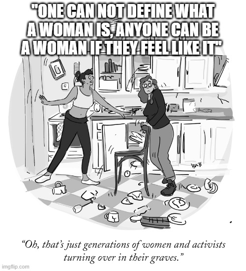 IDK how we went from women are unique to any one can be a woman. | "ONE CAN NOT DEFINE WHAT A WOMAN IS, ANYONE CAN BE A WOMAN IF THEY FEEL LIKE IT" | image tagged in stupid liberals,liberal hypocrisy,political meme,funny memes,truth,political humor | made w/ Imgflip meme maker
