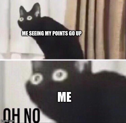 Oh no cat | ME SEEING MY POINTS GO UP ME | image tagged in oh no cat | made w/ Imgflip meme maker
