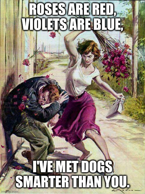 for that special someone | ROSES ARE RED, VIOLETS ARE BLUE, I'VE MET DOGS SMARTER THAN YOU. | image tagged in beaten with roses | made w/ Imgflip meme maker