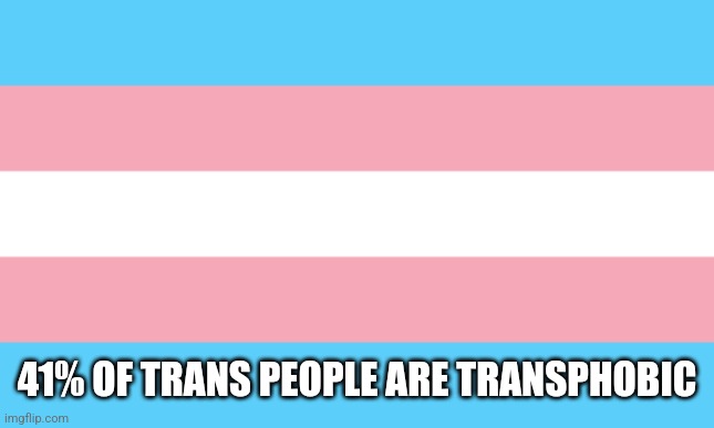 Trans Flag | 41% OF TRANS PEOPLE ARE TRANSPHOBIC | image tagged in trans flag | made w/ Imgflip meme maker