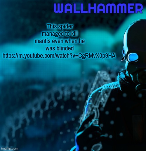 Announcement | This spider managed to kill mantis even when he was blinded https://m.youtube.com/watch?v=CgRMvX0p9HA | image tagged in announcement | made w/ Imgflip meme maker