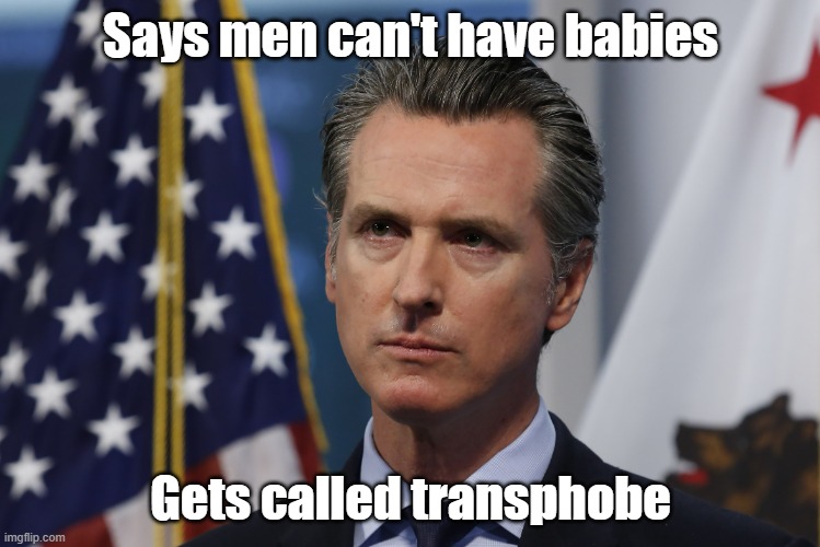 Where is the brain in these people? They make Newsome seem like a traditional Democrat |  Says men can't have babies; Gets called transphobe | image tagged in gavin newsom,stupid people | made w/ Imgflip meme maker