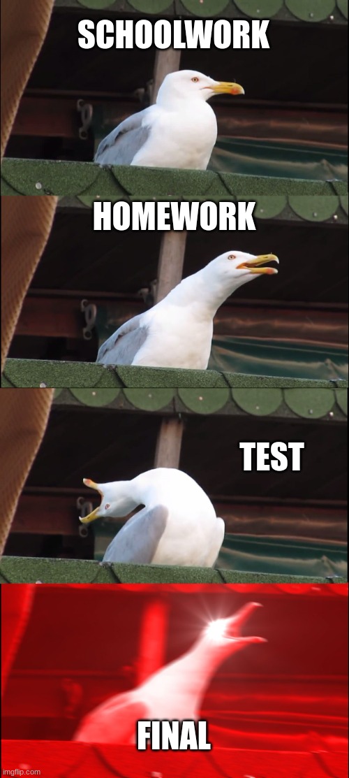 Inhaling Seagull | SCHOOLWORK; HOMEWORK; TEST; FINAL | image tagged in memes,inhaling seagull | made w/ Imgflip meme maker