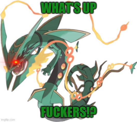 RAYQUAZA | WHAT'S UP FUCKERS!? | image tagged in rayquaza | made w/ Imgflip meme maker