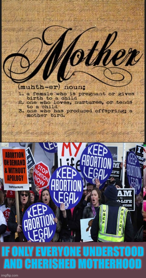 They want to attack churches where mothers fathers children are praying they want to attack families at their homes.  How sick | IF ONLY EVERYONE UNDERSTOOD AND CHERISHED MOTHERHOOD | image tagged in abortion,supreme court,obstruction of justice,mother's day | made w/ Imgflip meme maker
