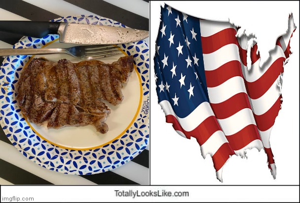 This steak shaped like America | image tagged in totally looks like,america,steak,memes,meme,steaks | made w/ Imgflip meme maker