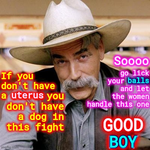 No Uterus?  Shut Up Then | Soooo; go lick your balls and let the women handle this one; you don't have a dog in this fight; uterus; If you don't have a uterus; balls; GOOD BOY; BOY | image tagged in sarcasm cowboy,memes,womens rights,keep your laws off my uterus,it's not up to you,women don't need your permission | made w/ Imgflip meme maker