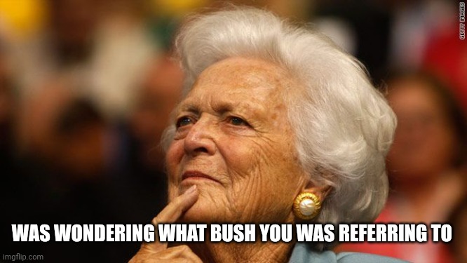 Barbara Bush | WAS WONDERING WHAT BUSH YOU WAS REFERRING TO | image tagged in barbara bush | made w/ Imgflip meme maker