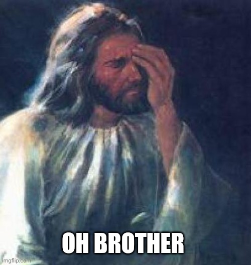 jesus facepalm | OH BROTHER | image tagged in jesus facepalm | made w/ Imgflip meme maker