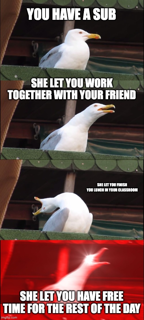 True story |  YOU HAVE A SUB; SHE LET YOU WORK TOGETHER WITH YOUR FRIEND; SHE LET YOU FINISH YOU LUNCH IN YOUR CLASSROOM; SHE LET YOU HAVE FREE TIME FOR THE REST OF THE DAY | image tagged in memes,inhaling seagull | made w/ Imgflip meme maker