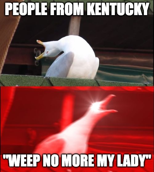 "Weep No More My Lady" | PEOPLE FROM KENTUCKY; "WEEP NO MORE MY LADY" | image tagged in screaming seagull | made w/ Imgflip meme maker