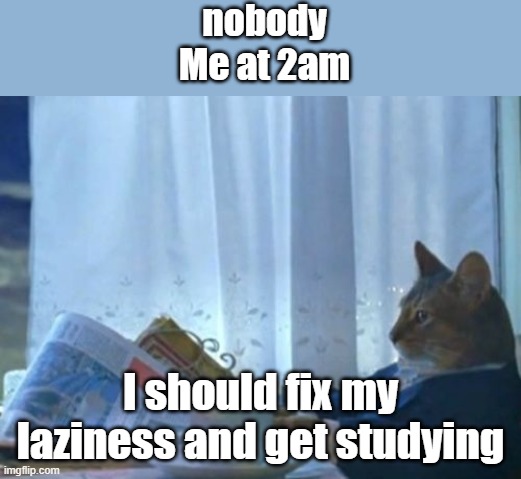 Random motivation to start studying | nobody
Me at 2am; I should fix my laziness and get studying | image tagged in memes,i should buy a boat cat,motivation,school,why are you reading the tags | made w/ Imgflip meme maker