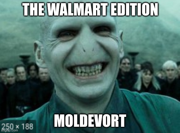 Moldevort |  THE WALMART EDITION; MOLDEVORT | image tagged in harry potter,walmart | made w/ Imgflip meme maker