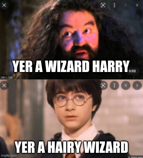 You a hairy wizard | YER A WIZARD HARRY; YER A HAIRY WIZARD | image tagged in harry potter,funny | made w/ Imgflip meme maker