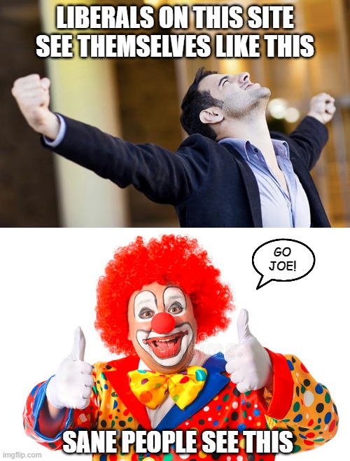 Liberals are brilliant. Just ask them. | LIBERALS ON THIS SITE SEE THEMSELVES LIKE THIS; GO JOE! SANE PEOPLE SEE THIS | image tagged in liberals,democrats,woke,clowns,dimwits,puppets | made w/ Imgflip meme maker