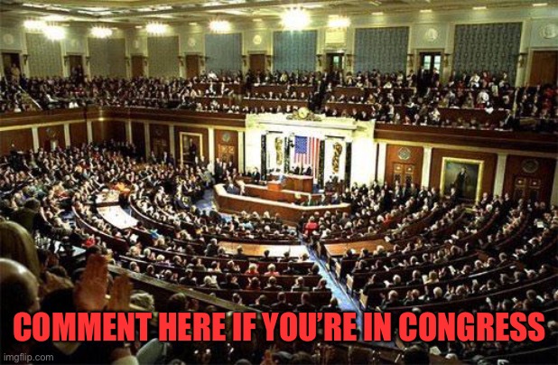 Congress | COMMENT HERE IF YOU’RE IN CONGRESS | image tagged in congress | made w/ Imgflip meme maker