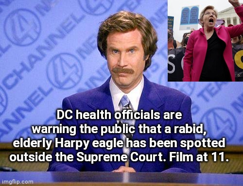 Rabid Harpy on the loose in Washington, DC | DC health officials are warning the public that a rabid, elderly Harpy eagle has been spotted outside the Supreme Court. Film at 11. | image tagged in anchorman news update,elizabeth warren,insane,tantrum,abortion,scotus | made w/ Imgflip meme maker