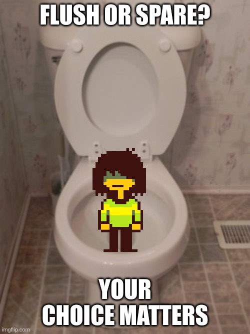 toilet seat up | FLUSH OR SPARE? YOUR CHOICE MATTERS | image tagged in toilet seat up,deltarune,kris | made w/ Imgflip meme maker