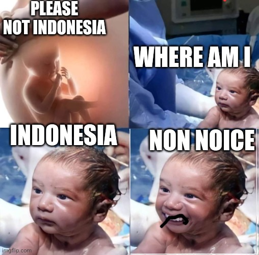 Hello sir where am i ? | PLEASE NOT INDONESIA; WHERE AM I; INDONESIA; NON NOICE | image tagged in hello sir where am i | made w/ Imgflip meme maker