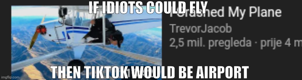 IF IDIOTS COULD FLY; THEN TIKTOK WOULD BE AIRPORT | made w/ Imgflip meme maker