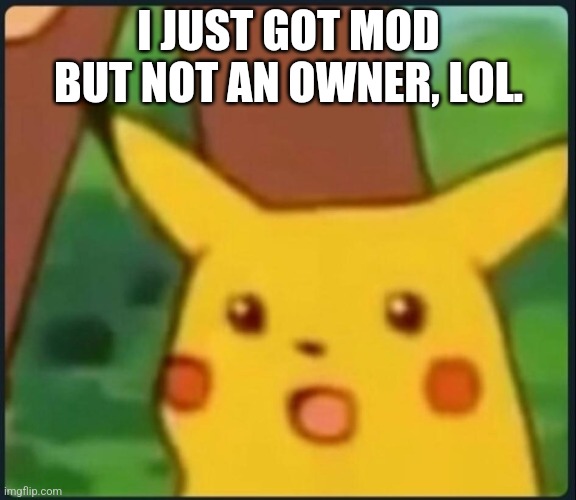 Surprised Pikachu | I JUST GOT MOD BUT NOT AN OWNER, LOL. | image tagged in surprised pikachu | made w/ Imgflip meme maker