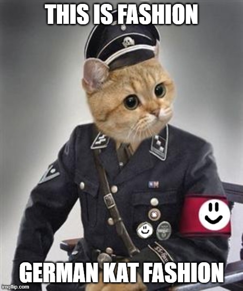 Ja | THIS IS FASHION; GERMAN KAT FASHION | image tagged in grammar nazi cat | made w/ Imgflip meme maker