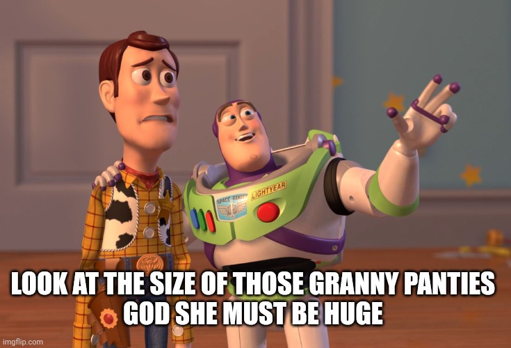 X, X Everywhere Meme | LOOK AT THE SIZE OF THOSE GRANNY PANTIES 
GOD SHE MUST BE HUGE | image tagged in memes,x x everywhere | made w/ Imgflip meme maker