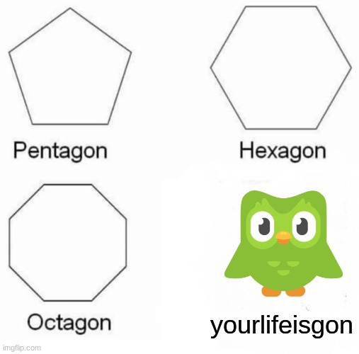 y yuo do dis duo? | yourlifeisgon | image tagged in memes,pentagon hexagon octagon,duolingo | made w/ Imgflip meme maker