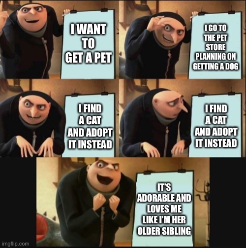 5 panel gru meme | I WANT TO GET A PET; I GO TO THE PET STORE PLANNING ON GETTING A DOG; I FIND A CAT AND ADOPT IT INSTEAD; I FIND A CAT AND ADOPT IT INSTEAD; IT’S ADORABLE AND LOVES ME LIKE I’M HER OLDER SIBLING | image tagged in 5 panel gru meme | made w/ Imgflip meme maker