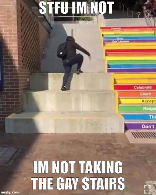 dont cancel me. template isnt mine |  STFU IM NOT; IM NOT TAKING THE GAY STAIRS | image tagged in gay,stairs,unfunny,no homo | made w/ Imgflip meme maker
