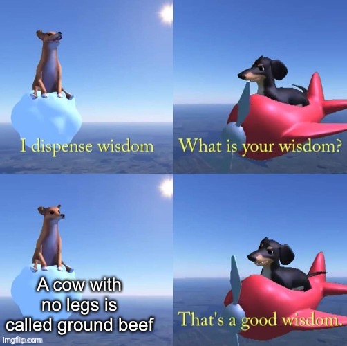 Wisdom |  A cow with no legs is called ground beef | image tagged in wisdom dog | made w/ Imgflip meme maker