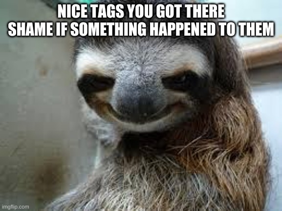 Creepy sloth | NICE TAGS YOU GOT THERE SHAME IF SOMETHING HAPPENED TO THEM | image tagged in creepy sloth | made w/ Imgflip meme maker