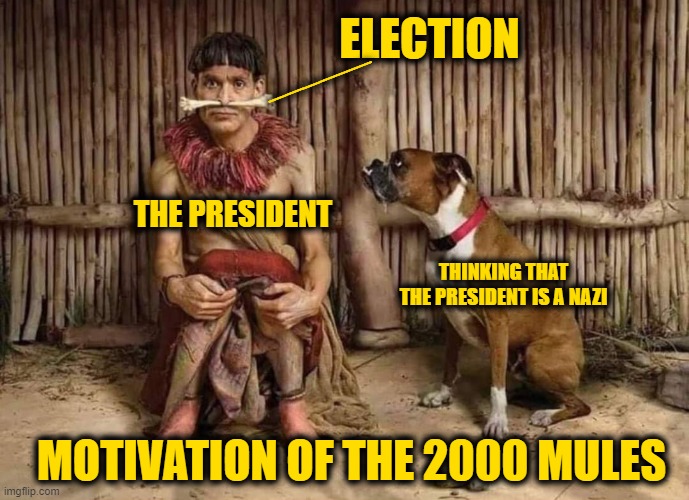 Would You Do it Too if You Thought the President was a Nazi? | ELECTION; ______; THE PRESIDENT; THINKING THAT THE PRESIDENT IS A NAZI; MOTIVATION OF THE 2000 MULES | image tagged in it's not going to end well | made w/ Imgflip meme maker