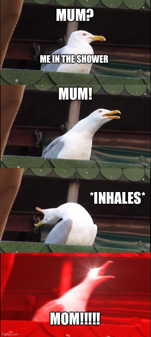 Inhaling Seagull | MUM? ME IN THE SHOWER; MUM! *INHALES*; MOM!!!!! | image tagged in memes,inhaling seagull | made w/ Imgflip meme maker