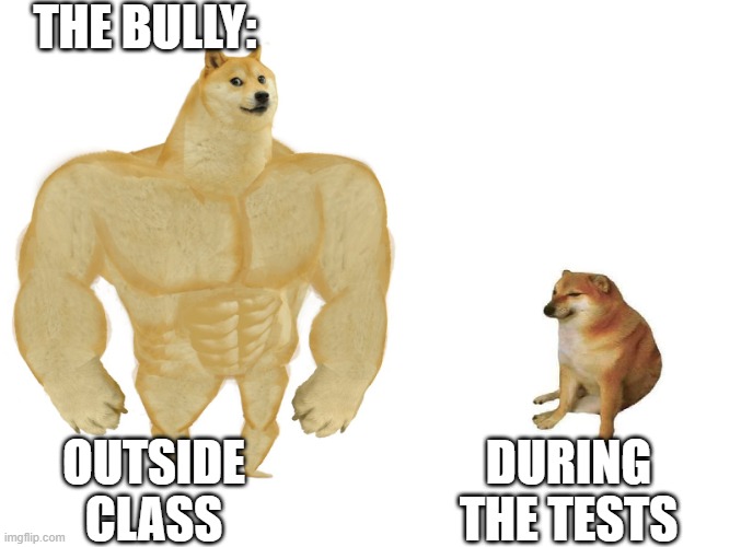 the struggle is real | THE BULLY:; DURING THE TESTS; OUTSIDE CLASS | image tagged in big dog small dog | made w/ Imgflip meme maker