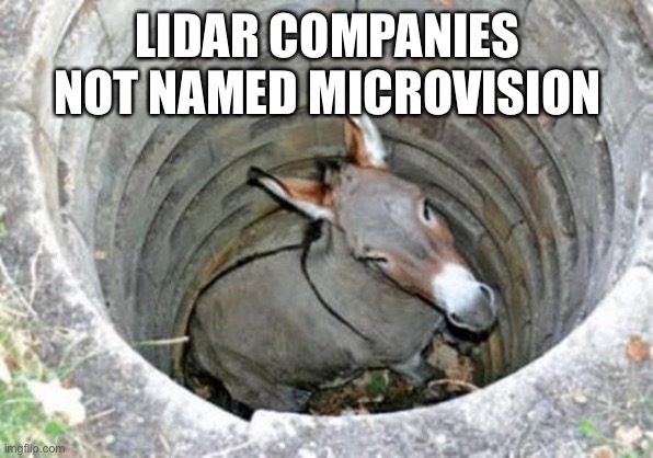 ass hole | LIDAR COMPANIES NOT NAMED MICROVISION | image tagged in ass hole | made w/ Imgflip meme maker