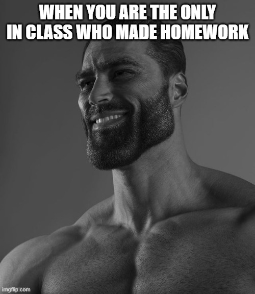 Unstoppable | WHEN YOU ARE THE ONLY IN CLASS WHO MADE HOMEWORK | image tagged in giga chad | made w/ Imgflip meme maker