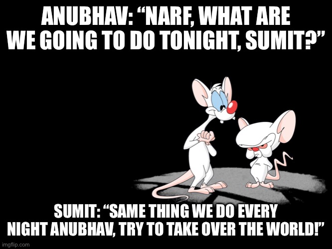 Pinky And The Brain | ANUBHAV: “NARF, WHAT ARE WE GOING TO DO TONIGHT, SUMIT?”; SUMIT: “SAME THING WE DO EVERY NIGHT ANUBHAV, TRY TO TAKE OVER THE WORLD!” | image tagged in pinky and the brain | made w/ Imgflip meme maker