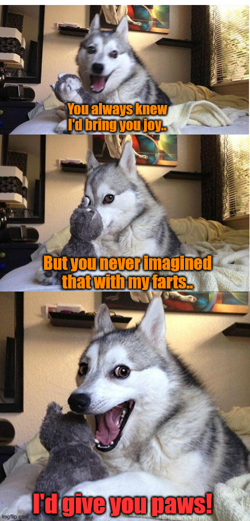 Paws |  You always knew I'd bring you joy.. But you never imagined that with my farts.. I'd give you paws! | image tagged in bad pun dog 2,dog,farts,joy,paws | made w/ Imgflip meme maker