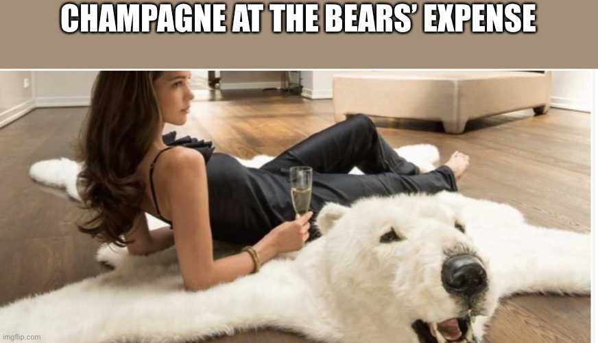 CHAMPAGNE AT THE BEARS’ EXPENSE | made w/ Imgflip meme maker