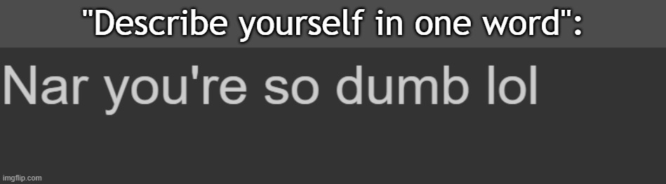 I feel so stupid at school it's genuinely funny,, LIKE WTF ARE THEY SAYING bRuh,,, | "Describe yourself in one word": | made w/ Imgflip meme maker