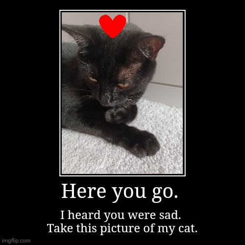 My cat will cheer you up | image tagged in funny,demotivationals | made w/ Imgflip demotivational maker