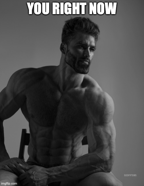 Giga Chad | YOU RIGHT NOW | image tagged in giga chad | made w/ Imgflip meme maker